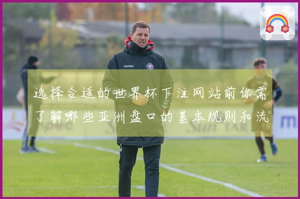 选择合适的世界杯下注网站前你需了解哪些亚洲盘口的基本规则和流程？