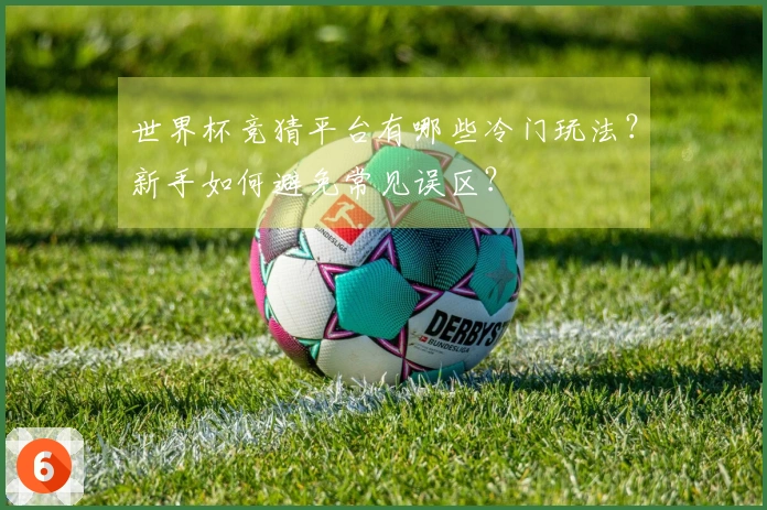 世界杯竞猜平台有哪些冷门玩法？新手如何避免常见误区？