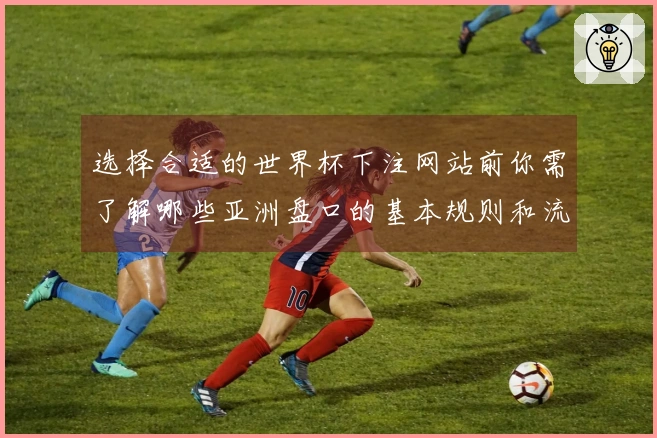 选择合适的世界杯下注网站前你需了解哪些亚洲盘口的基本规则和流程？
