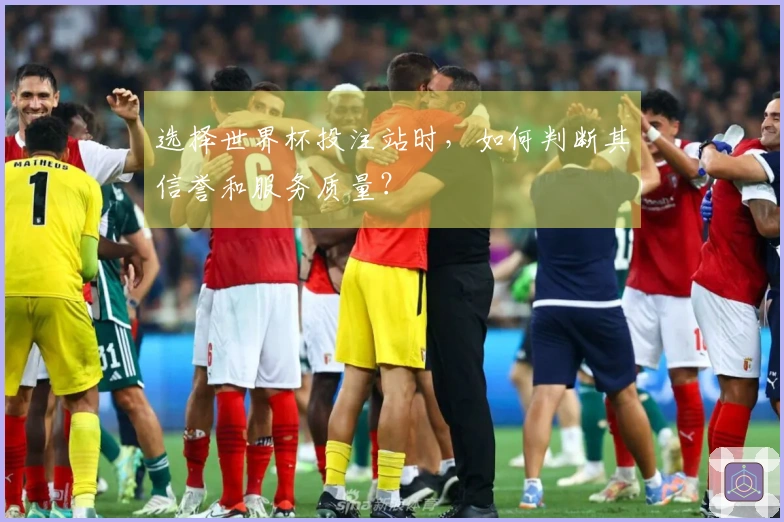 选择世界杯投注站时，如何判断其信誉和服务质量？